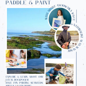 Rockpool Paddle & Paint Poster- Vitamin Sea Festival